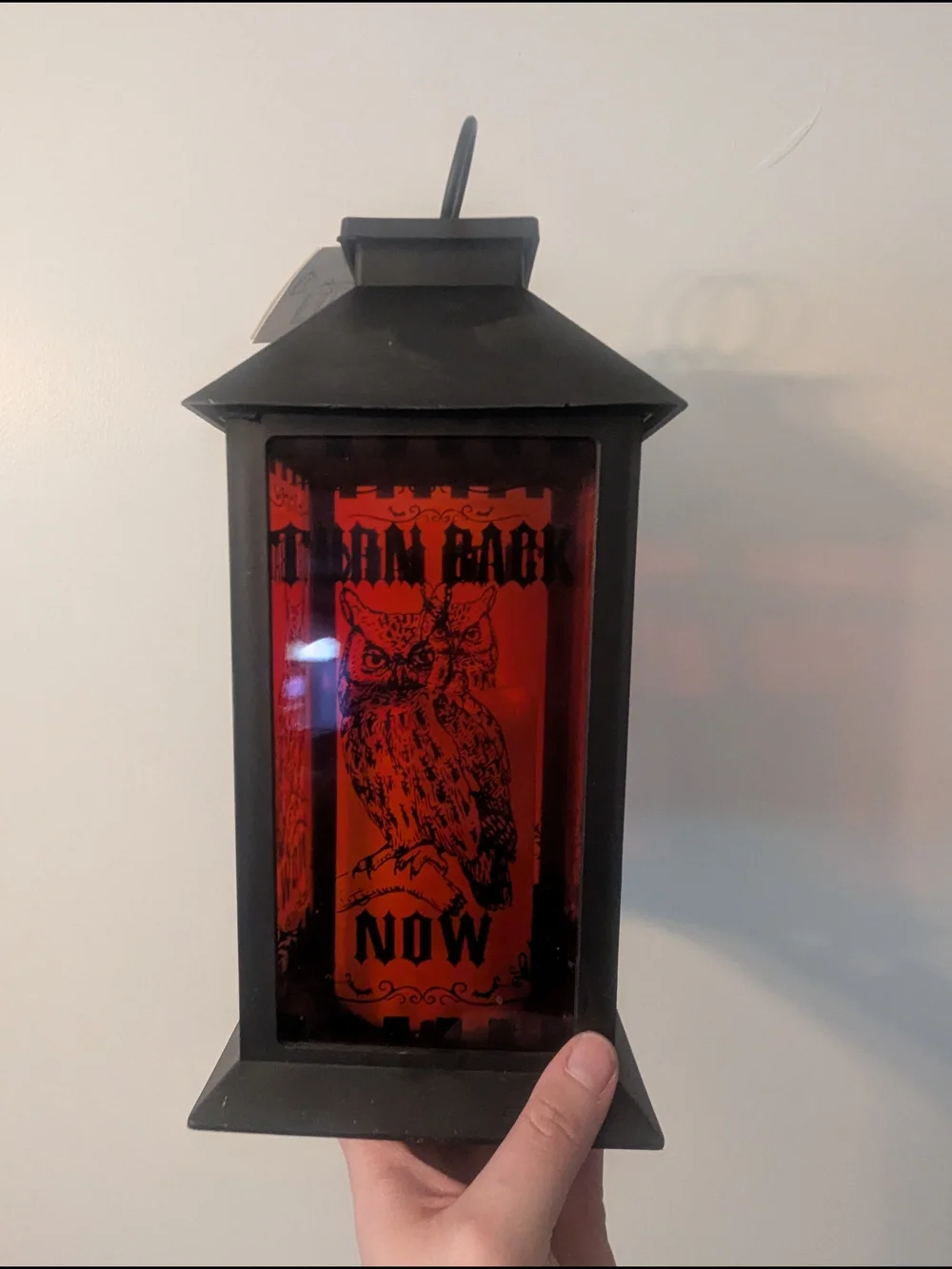 Harry Potter Hedwig Halloween Lantern Color Changing Light Candle, Turn Back Now
